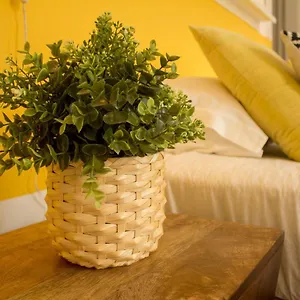 Bed and breakfast Intendente 1865