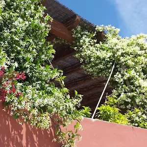  Bed & Breakfast Gato Preto De - Adults Only Portugal
